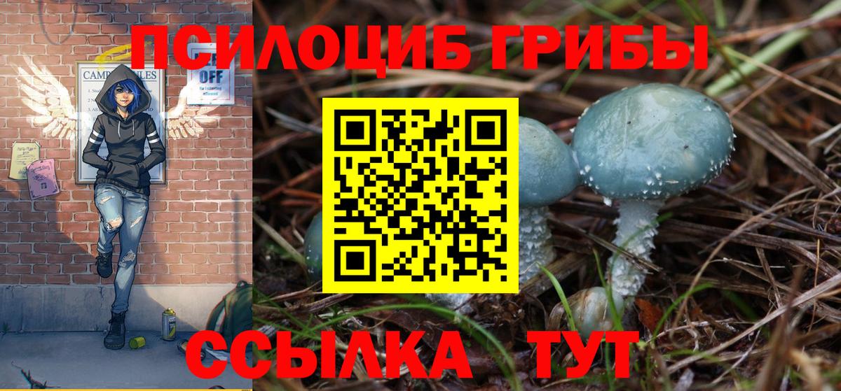 Шали  Галлюциногенные грибы GOLDEN TEACHER  Вход с VPN  Псилоцибиновые грибы Psilocybine cubensis 
